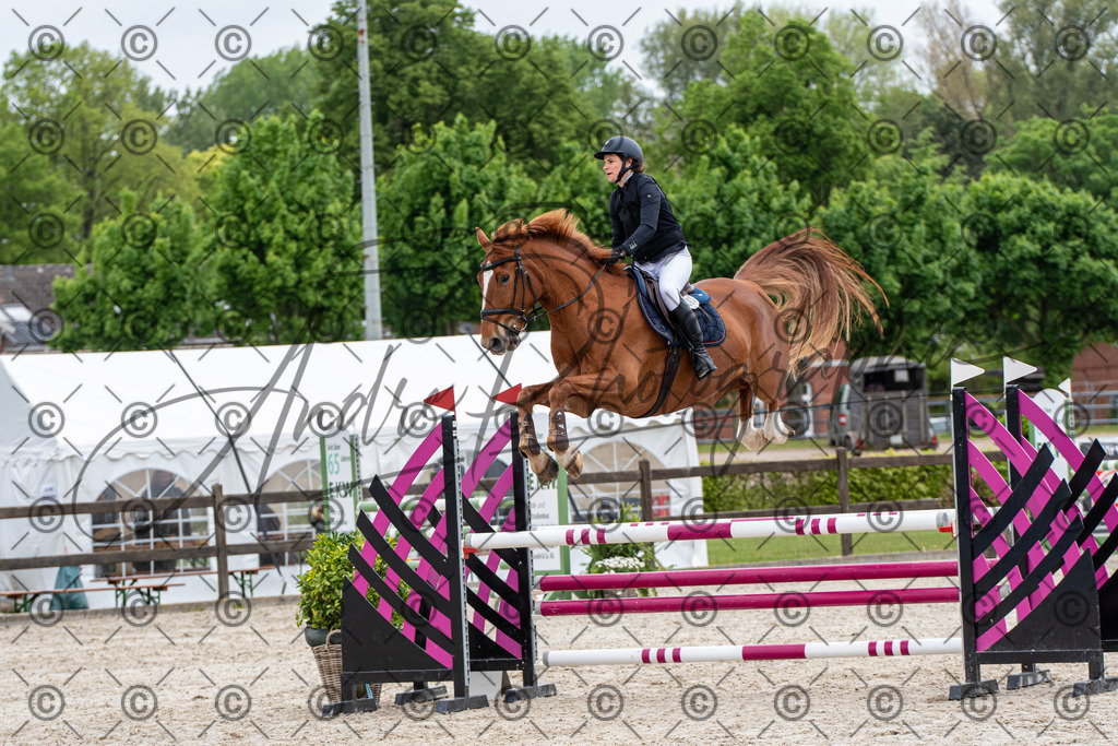 KPT_8431 | andre_photographic