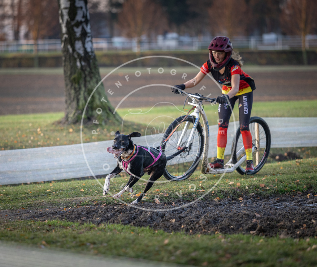 CaniXpix_DV3A9260 | Hundefotografie, Tierfotograf, Pfotenfotografie, Fotoshooting Hund, Hunde Portrait, Hundesport, Hundeportraits, Heideshooting, Hunde, Sportfotograf, Hundefotograf, Turnierhundsport, THS,  - Realisiert mit Pictrs.com