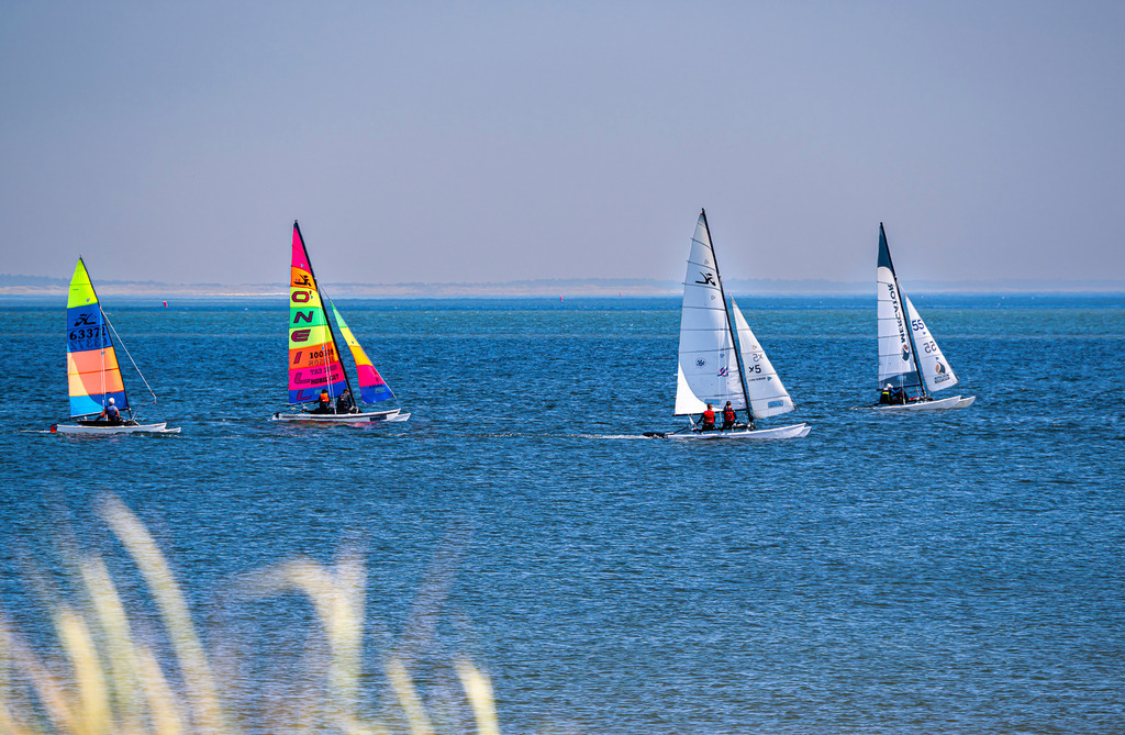 Segelabenteuer vor der Küste von Texel | Farbenfrohe Katamarane gleiten leichtfüßig über das tiefblaue Meer der niederländischen Nordseeinsel Texel. Mit voll im Wind stehenden Segeln ziehen die Sportler an einem sonnigen Sommertag ihre Bahnen auf dem glitzernden Wasser. Das sanft unscharfe Dünengras im Vordergrund rahmt die maritime Szene perfekt ein und weckt die Sehnsucht nach Salzluft, Freiheit und der endlosen Weite des Ozeans. Ein dynamisches Motiv, das die Faszination des Wassersports und das maritime Urlaubsgefühl ideal vereint. - Realisiert mit Pictrs.com