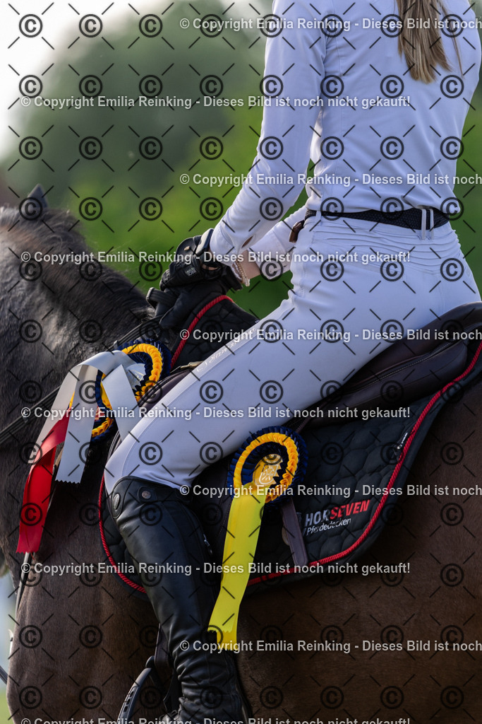 CL5A0339 | Emilia Reinking Fotografie - Realisiert mit Pictrs.com