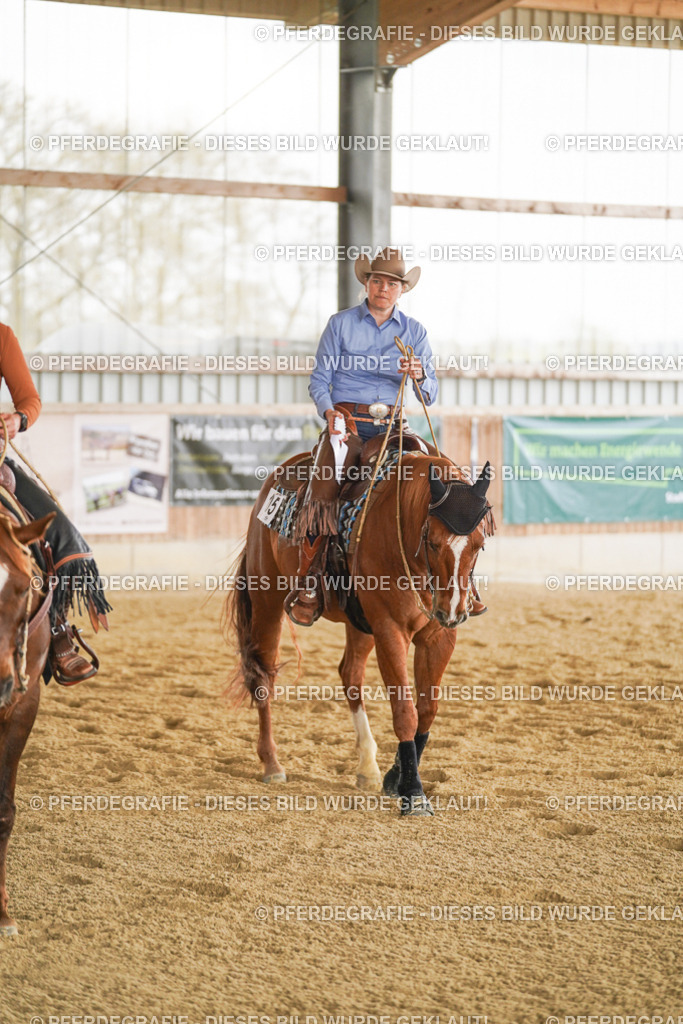 DSC03317 | Pferdegrafie