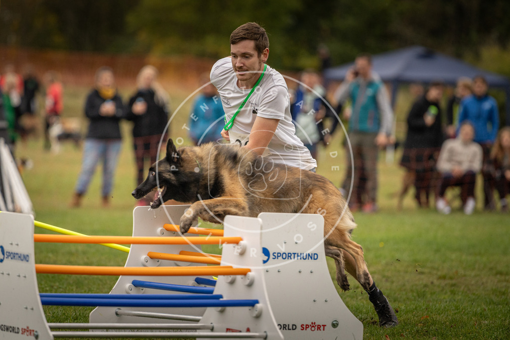 Pfotenfotografie_DV3A6995 | Hundefotografie, Tierfotograf, Pfotenfotografie, Fotoshooting Hund, Hunde Portrait, Hundesport, Hundeportraits, Heideshooting, Hunde, Sportfotograf, Hundefotograf, Turnierhundsport, THS,  - Realisiert mit Pictrs.com