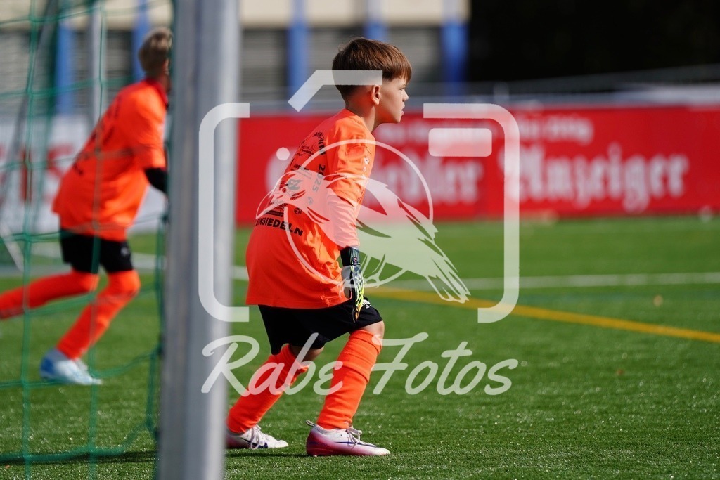 SON07643 | rabefotos