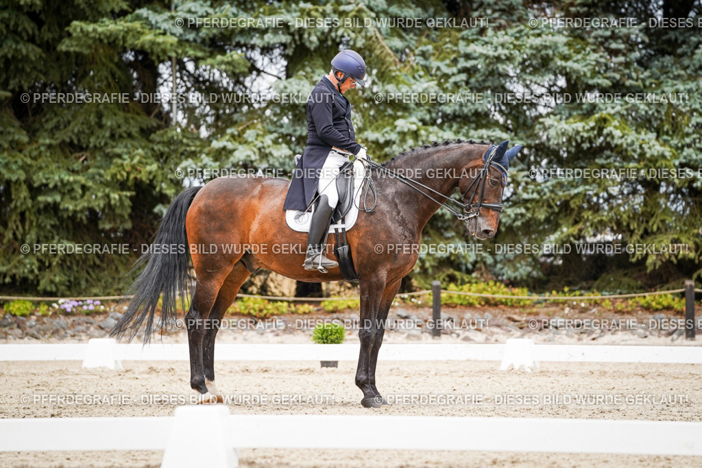 DSC05100 | Pferdegrafie