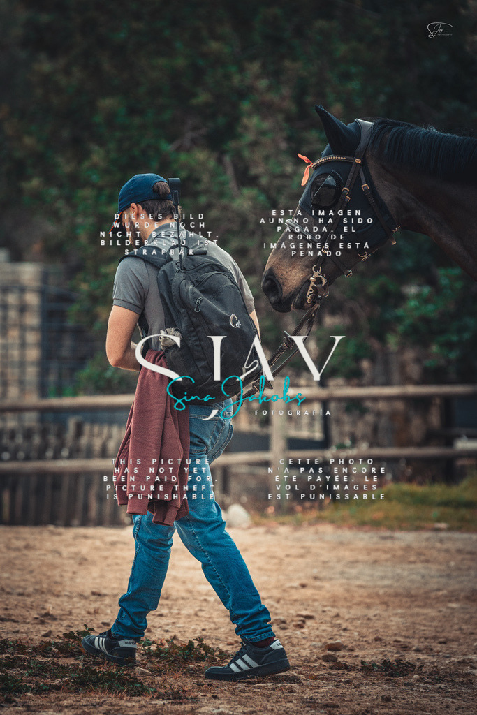 IMG_5183 | s-jay-photography - Realisiert mit Pictrs.com