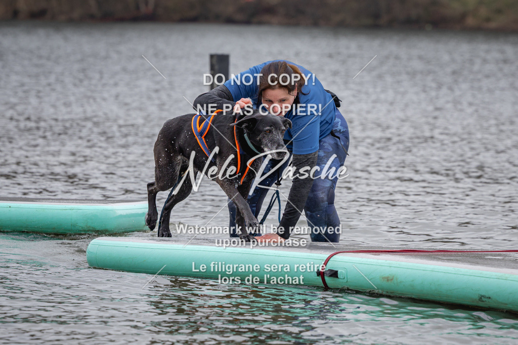 nelerasche_Hulsbeek_Sa1330-1430_246 | nelerasche