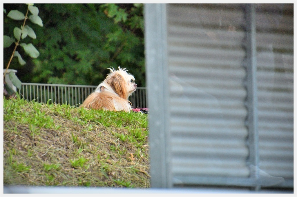 batch_2DSC_6521_1950SVR 23.08.23_Nikon | PFALZFOTO - Serena Wobus - Realisiert mit Pictrs.com