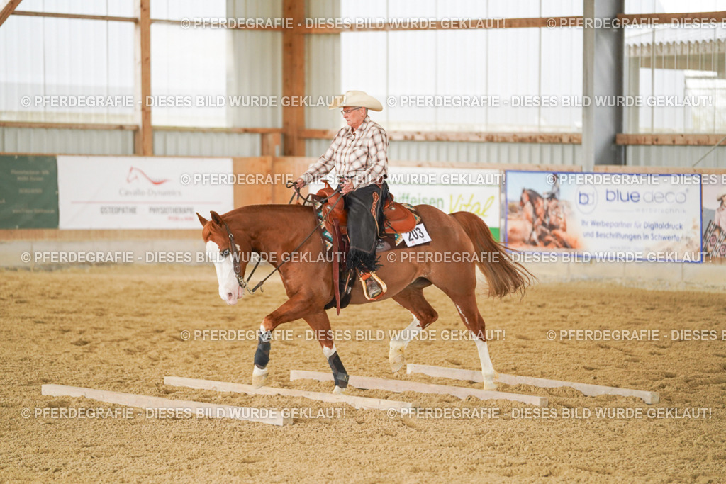 DSC04120 | Pferdegrafie