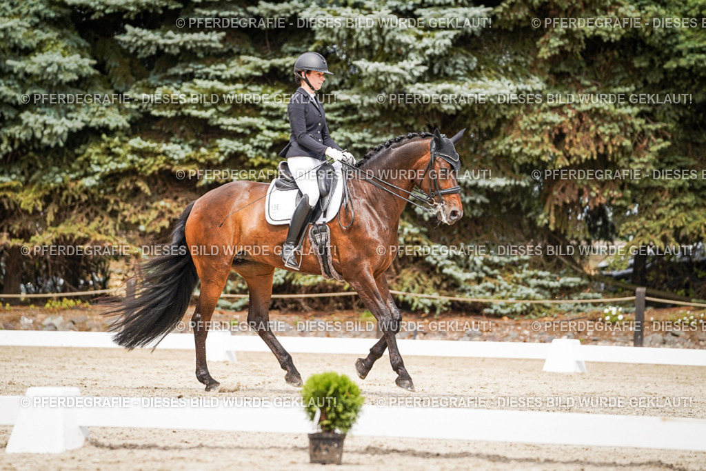 DSC05796 | Pferdegrafie