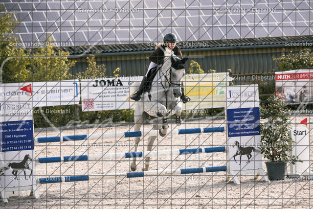 _W6A1562 | ronjaprokoschfotografie - Realisiert mit Pictrs.com