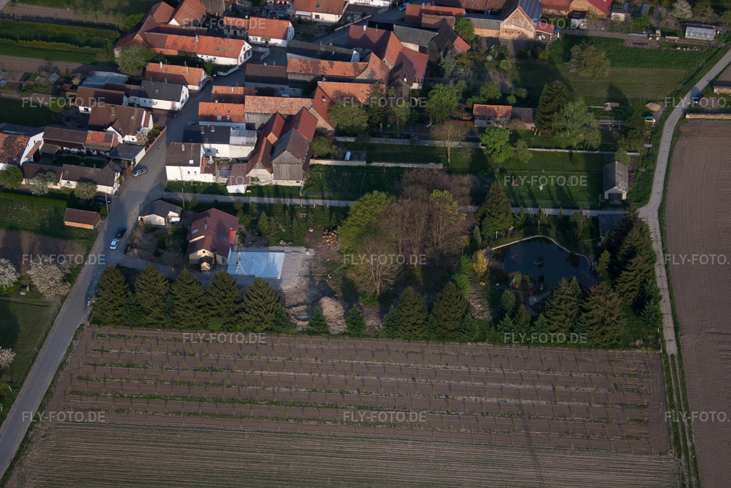 Luftbild: Ziergarten von Westen in Erlenbach bei Kandel im Bundesland Rheinland-Pfalz in Deutschland. Foto: IMG_64289.jpg vom 11.04.2014 durch Werner Riehm/FLY-FOTO.de