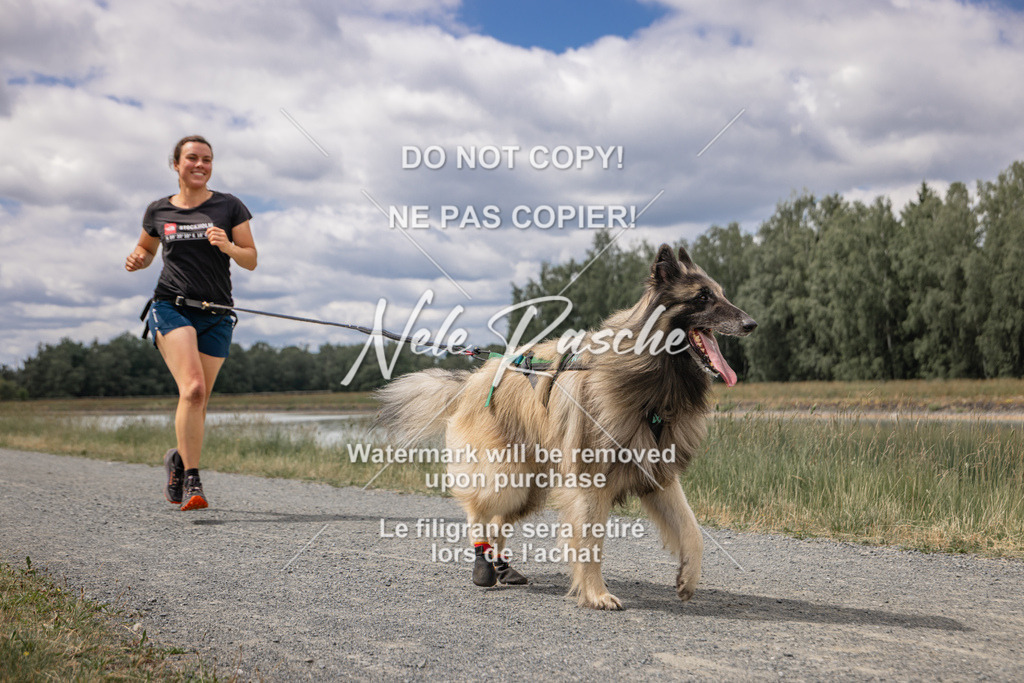 nelerasche_BuHu2026_SaCC1100-1200_220 | nelerasche