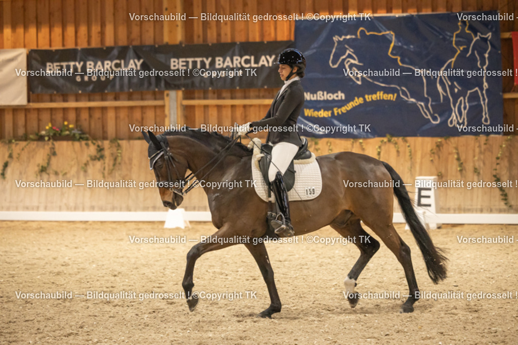 _D5A3801 | Emotionale Pferde- & People-Fotografie rund um Heidelberg, Leimen & Umgebung. Natürliche Fotos von Pferd, Mensch & Familie. Jetzt Termin sichern!