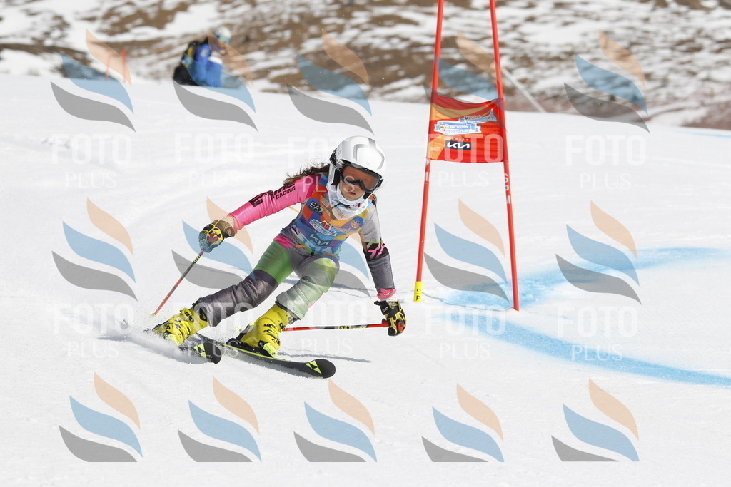 _U3G0609 | holidayphoto