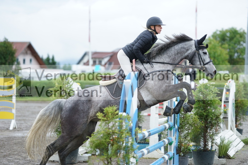 DSC06867 | equestrian-live-com