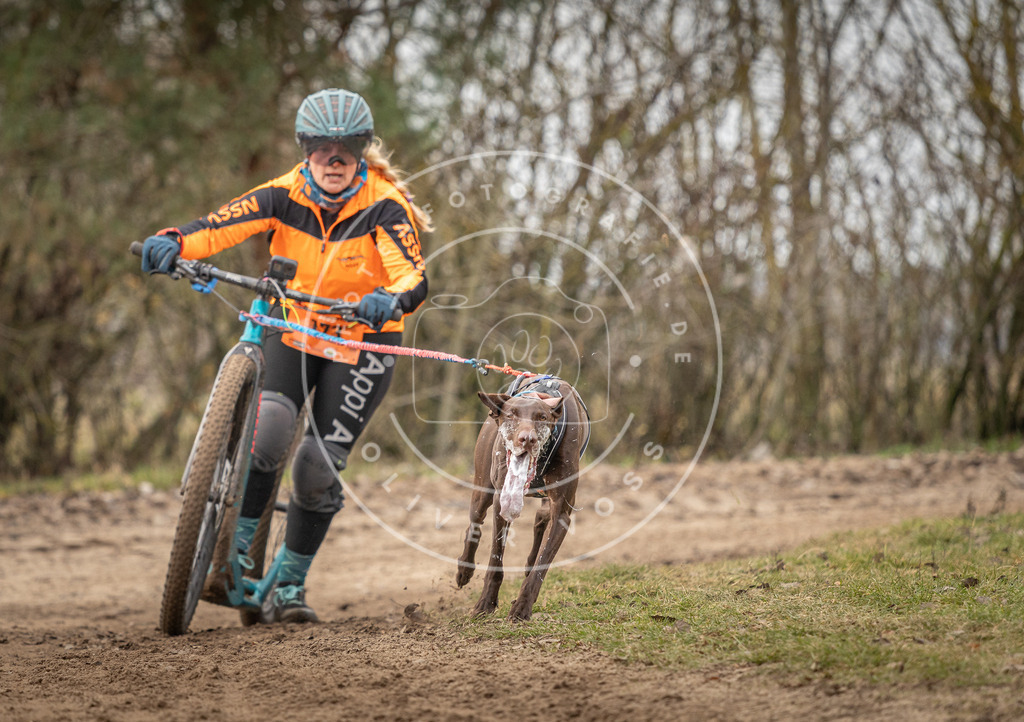 Pfotenfotografie_DV3A9430 | Hundefotografie, Tierfotograf, Pfotenfotografie, Fotoshooting Hund, Hunde Portrait, Hundesport, Hundeportraits, Heideshooting, Hunde, Sportfotograf, Hundefotograf, Turnierhundsport, THS,  - Realisiert mit Pictrs.com