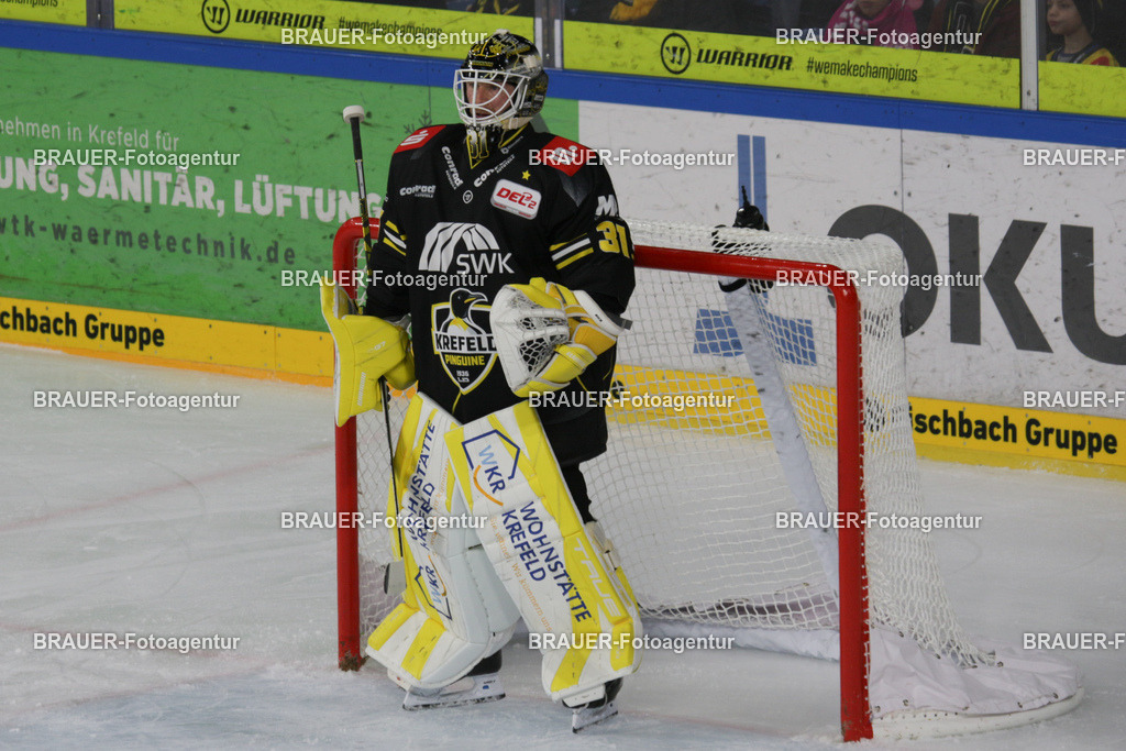 02.11.2025: DEL2  Krefeld Pinguine - Eispiraten Crimmitschau | Krefeld, Deutschland, 02.11.2025: Torhüter Felix Bick (Krefeld Pinguine) schaut während des DEL2-Spiels zwischen Krefeld Pinguine - Eispiraten Crimmitschau am 02.11. 2025 in der Yayla-Arena in Krefeld, Deutschland. (Foto Ralph Görtz / Brauer-Fotoagentur)