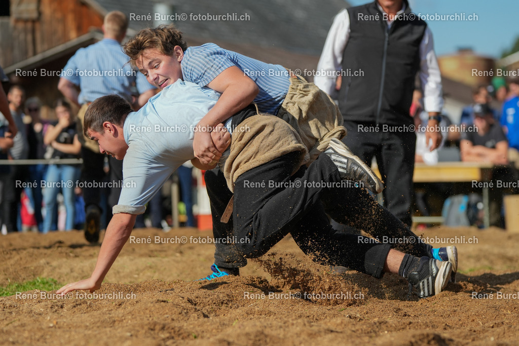 RB_01230-2 | René Burch leidenschaftlicher Fotograf aus Kerns in Obwalden.  Hier finden sie Sport, Landschaft und Natur Fotografie.
 - Realisiert mit Pictrs.com