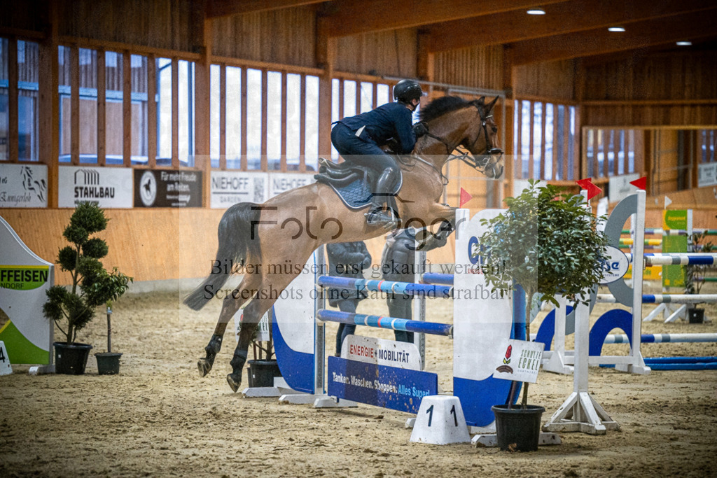 DOS_2596 | Entdecke hochwertige Reitturnierfotos von Foto Oger. Professionell, emotional und authentisch – jetzt Lieblingsmomente im Shop bestellen.Deutschlandweite Turnierfotografie. - Realisiert mit Pictrs.com