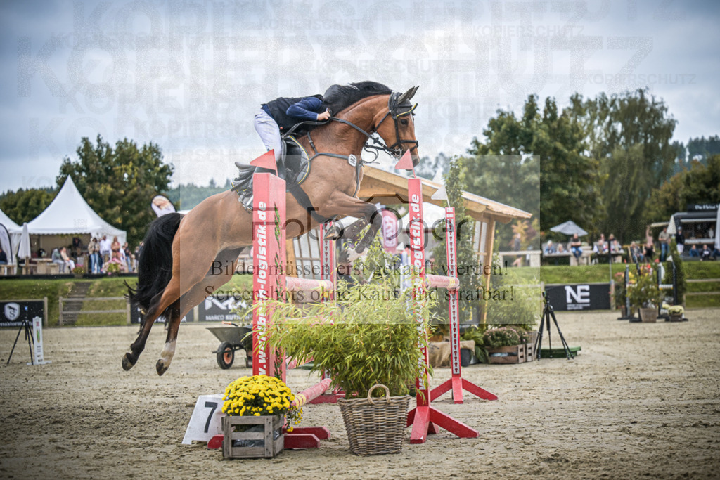DOS_3324 | Entdecke hochwertige Reitturnierfotos von Foto Oger. Professionell, emotional und authentisch – jetzt Lieblingsmomente im Shop bestellen.Deutschlandweite Turnierfotografie. - Realisiert mit Pictrs.com