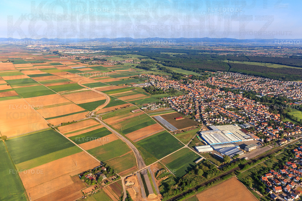 Ortsansicht von Osten | Luftbild: Ortsansicht von Osten in Bellheim im Bundesland Rheinland-Pfalz in Deutschland. Foto: IMG_120687.jpg vom 03.05.2020 durch Werner Riehm/FLY-FOTO.de - Realisiert mit Pictrs.com