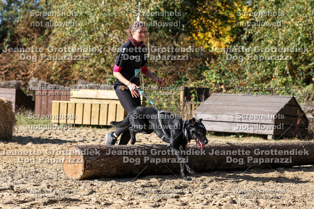 Dog Paparazzi - Strongdog 10-25-2937 | Dog Paparazzi Jeanette Grottendiek Fotografie & Videografie - Realisiert mit Pictrs.com