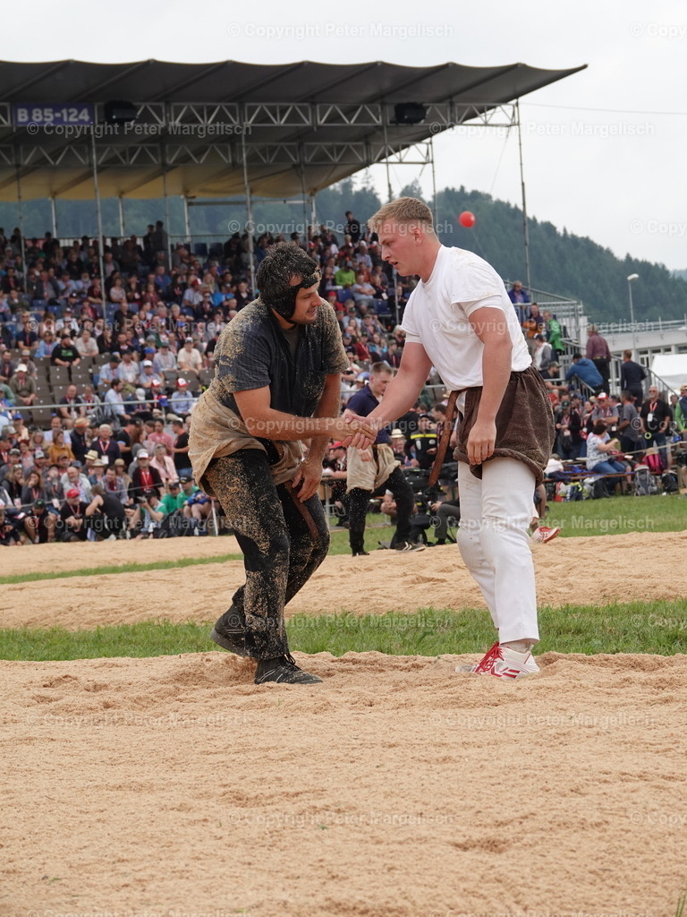 DSC04921 | Schwingen - Realisiert mit Pictrs.com