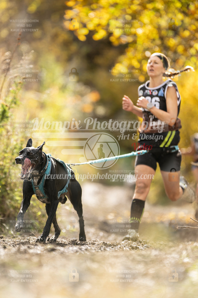 MompixPhotography_ICF_WC_2024_SA_Run_-132 | PayLife