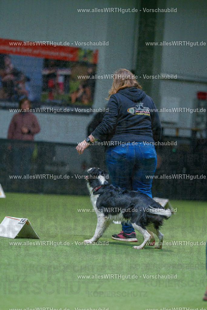 7R500626 | Professionelle Tierfotografie in Mönchengladbach von Daniel Wirth (allesWIRTHgut). Liebevolle & natürliche Bilder von Hunden & Katzen für unvergessliche Erinnerungen.