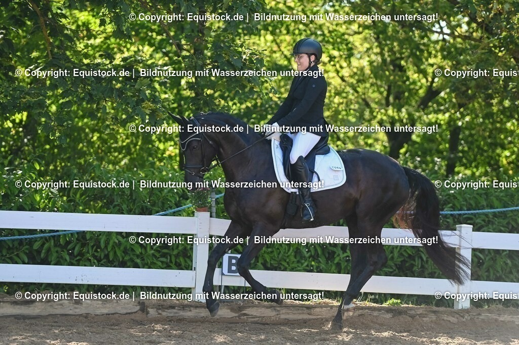 20230715_06_Dressurpferdeprfg. Kl.A_0346 | equistock
