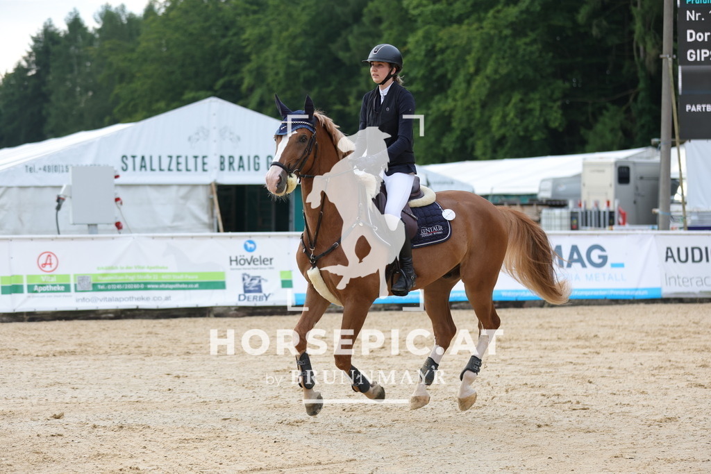 0P6A1268 | Willkommen bei Brunnmayr - Design & Fotografie – Ihrem Spezialisten für Reitturniere und Pferdeveranstaltungen in Oberösterreich, Salzburg und Bayern! Seit über 17 Jahren sind wir leidenschaftlich dabei.
