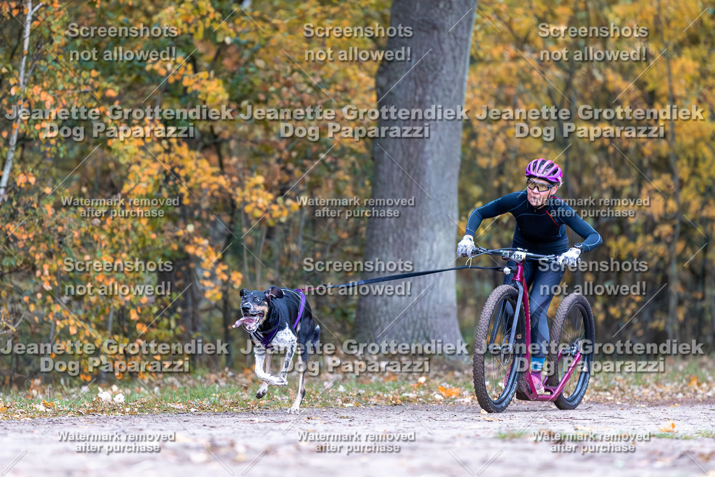 Dog Paparazzi - SD CaniX Championship 2025-15 | Dog Paparazzi Jeanette Grottendiek Fotografie & Videografie - Realisiert mit Pictrs.com