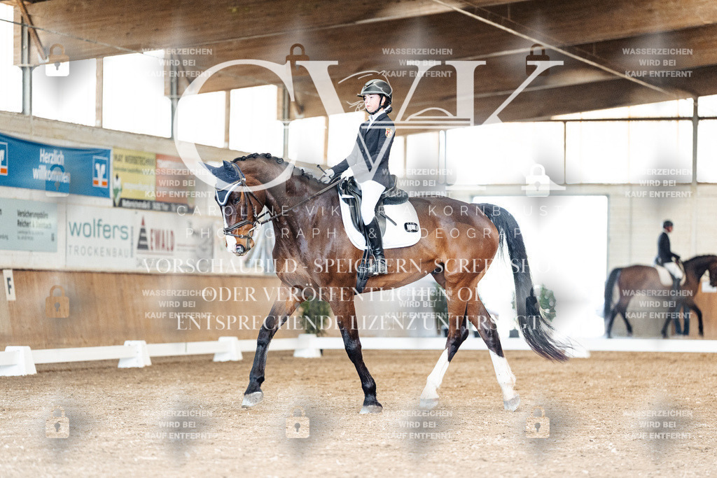 CK901148 | Turnierfotografie Pferdefotografie Trier Rheinland-Pfalz Pferdesport Reitsport Tierfotografie Sportfotografie Pferdevideo Pferdevideografie Equestrianvideography equestrianphotography  - Realized with Pictrs.com