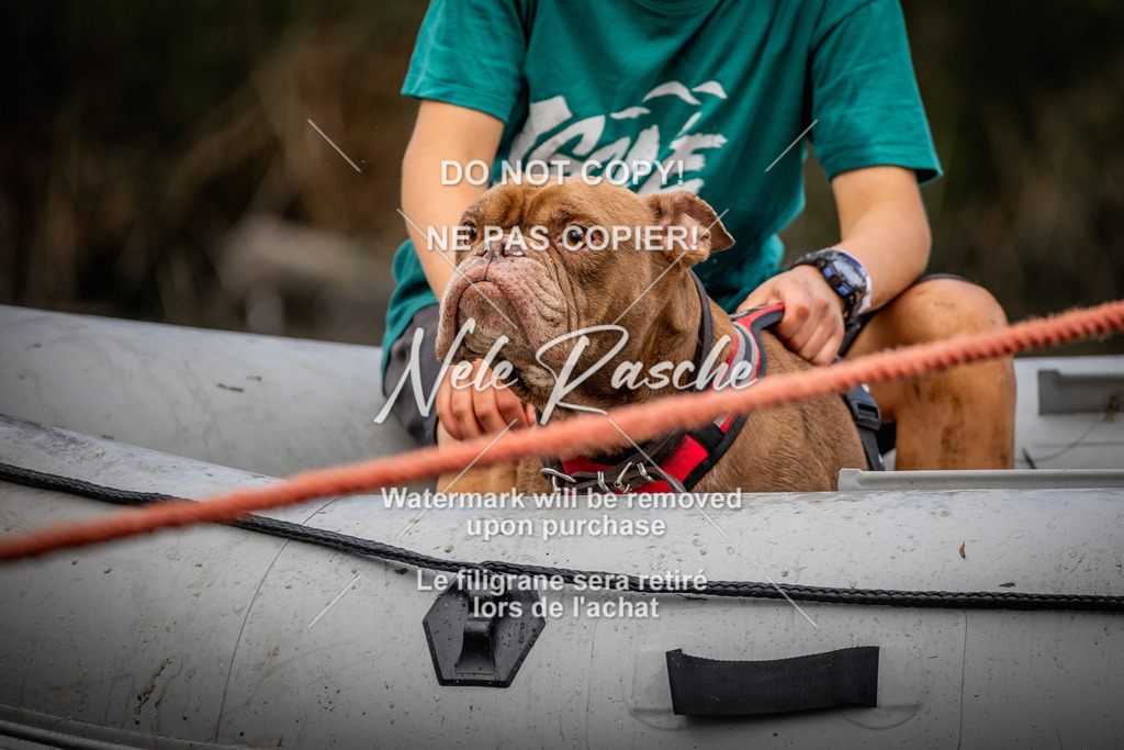 nelerasche_Sa1545-Ende_328 | nelerasche
