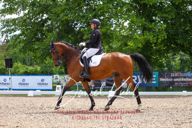 DKP41107 | Turnierfotos kaufen im Webshop von Daniel Kuhl Photography – entdecke professionelle Reitsportfotos aus Turnieren & Events. Hochwertige Turnierbilder online bestellen & sichern. Jetzt Fotos von Reitsportturnieren kaufen!