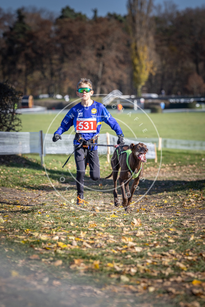 CaniXpix_DV3A8258 | Hundefotografie, Tierfotograf, Pfotenfotografie, Fotoshooting Hund, Hunde Portrait, Hundesport, Hundeportraits, Heideshooting, Hunde, Sportfotograf, Hundefotograf, Turnierhundsport, THS,  - Realisiert mit Pictrs.com