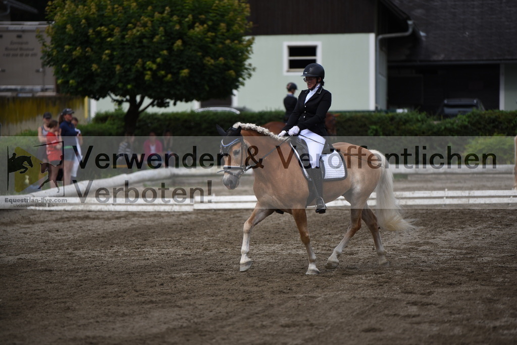 DSC_5080 | equestrian-live-com