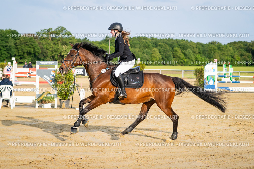 DSC02048 | Pferdegrafie