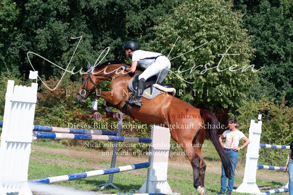 DSC_0885 | Pferde- und Turnierfotografie in Westsachsen. Pferdeportraits, Auftragszeichnungen und intuitive Kunst.