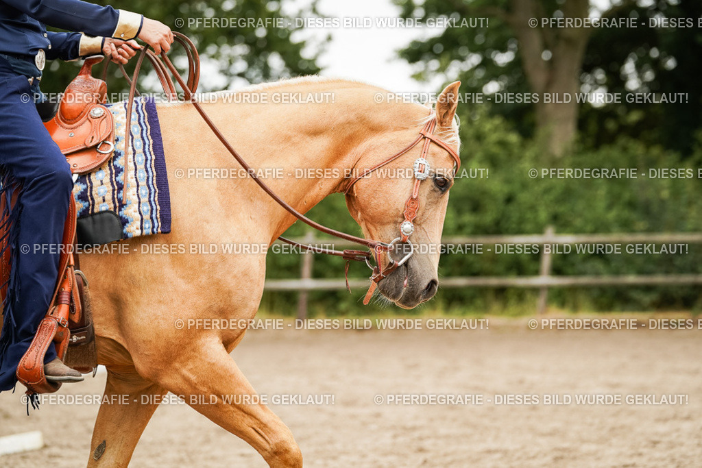 DSC08739 | Pferdegrafie