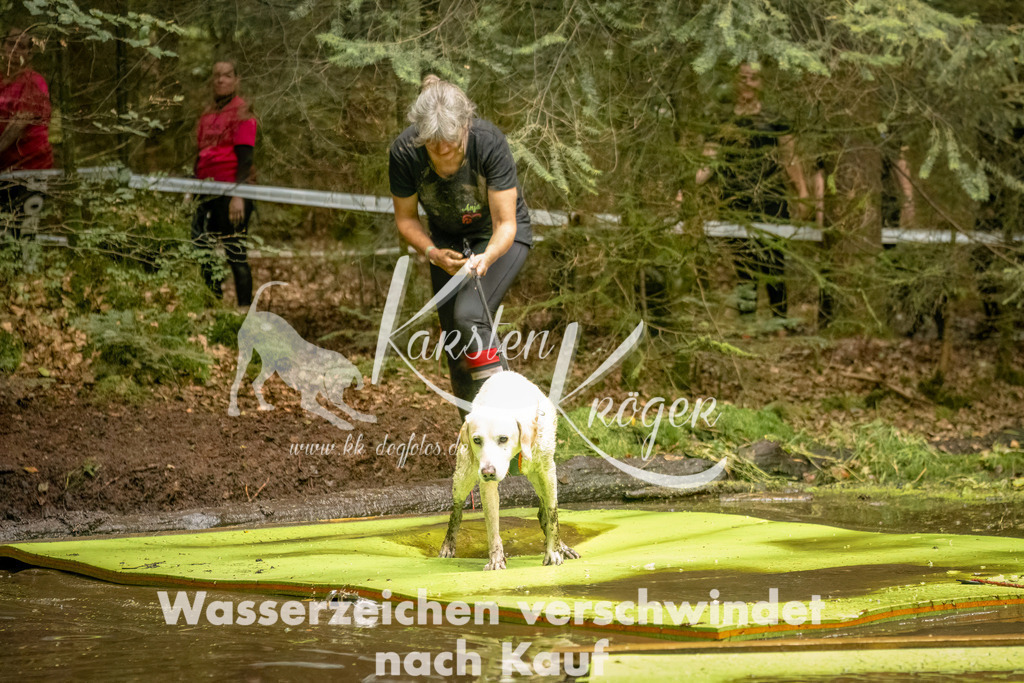 1420_ZZ91940-Bearbeitet | kk-dogfotos