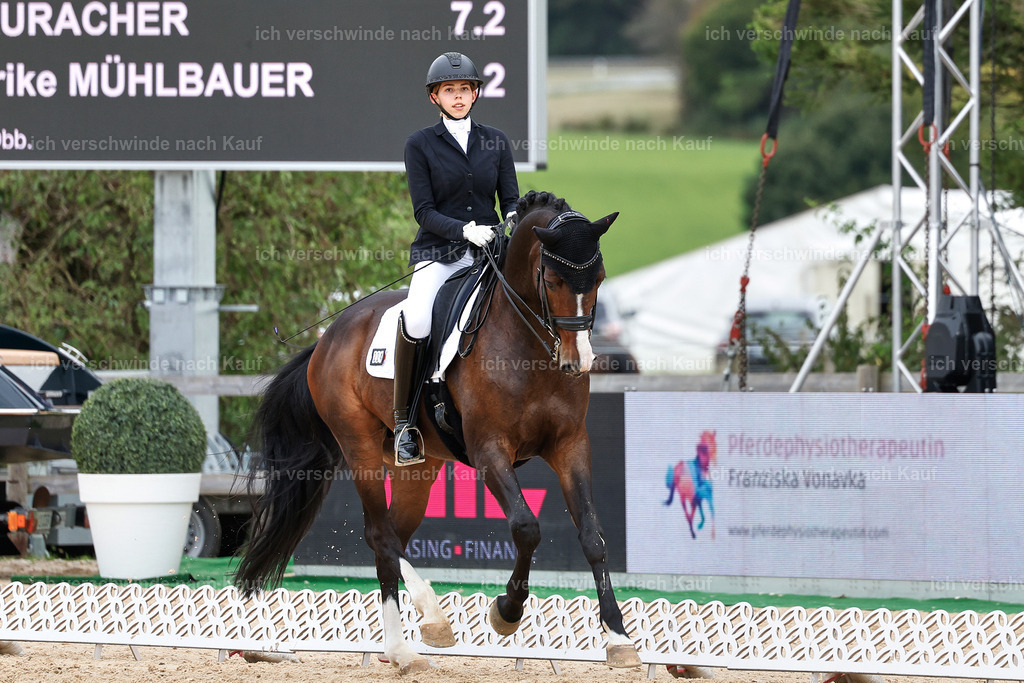 3-224-Dressur M_-StoibPH-2533 | working equitationturnier fotograf videograf stoibphotography marixx film working equitation deutschland reitsport turnierfotografie eventfotografie equestrian events