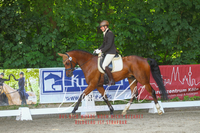 DKP42400 | Turniersportfotografie; Pferdefotografie; Dressurfotografie