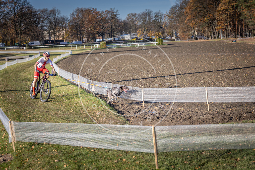 CaniXpix_DV3A2426 | Hundefotografie, Tierfotograf, Pfotenfotografie, Fotoshooting Hund, Hunde Portrait, Hundesport, Hundeportraits, Heideshooting, Hunde, Sportfotograf, Hundefotograf, Turnierhundsport, THS,  - Realisiert mit Pictrs.com
