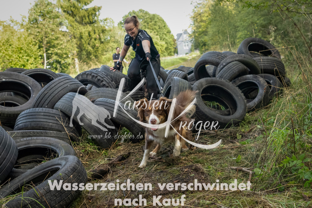 1505_ZZ91093-Bearbeitet | kk-dogfotos