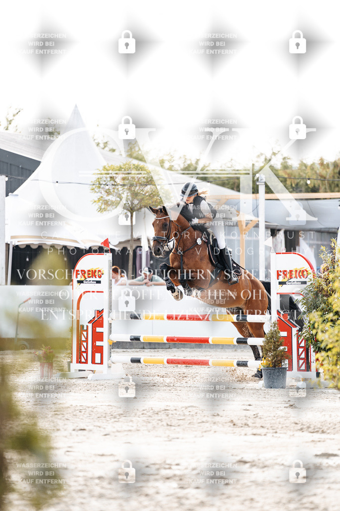 CK906904 | Turnierfotografie Pferdefotografie Trier Rheinland-Pfalz Pferdesport Reitsport Tierfotografie Sportfotografie Pferdevideo Pferdevideografie Equestrianvideography equestrianphotography  - Realisiert mit Pictrs.com