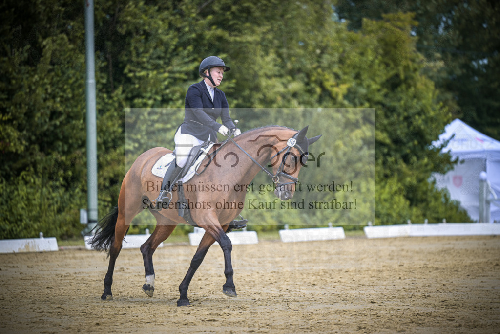 DOS_3779 | Entdecke hochwertige Reitturnierfotos von Foto Oger. Professionell, emotional und authentisch – jetzt Lieblingsmomente im Shop bestellen.Deutschlandweite Turnierfotografie. - Realisiert mit Pictrs.com