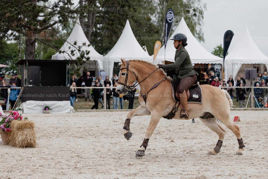 PI26_SP_StoibphotographyC2_C0315.jpg | working equitationturnier fotograf videograf stoibphotography marixx film working equitation deutschland reitsport turnierfotografie eventfotografie equestrian events
