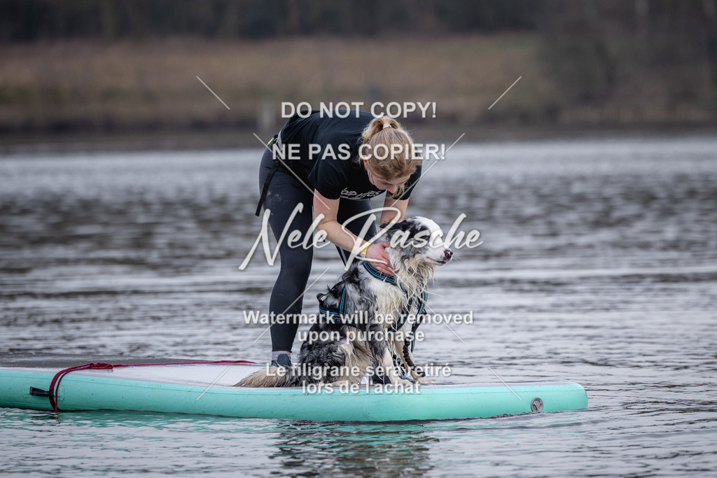 nelerasche_Hulsbeek_Sa1600-1700_483 | nelerasche