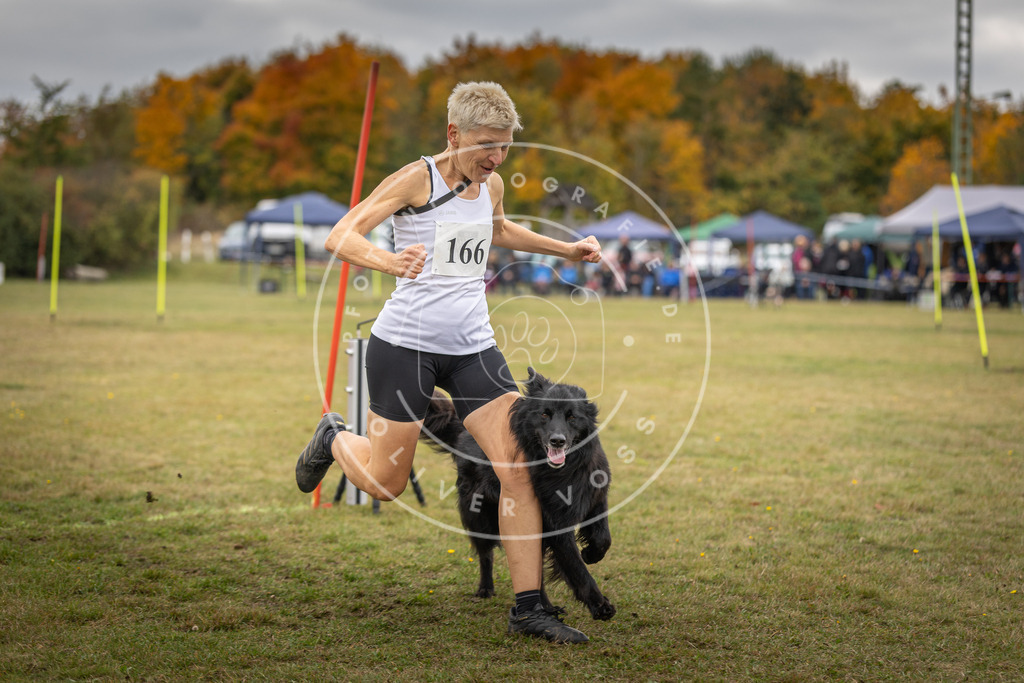 Pfotenfotografie_DV3A6582 | Hundefotografie, Tierfotograf, Pfotenfotografie, Fotoshooting Hund, Hunde Portrait, Hundesport, Hundeportraits, Heideshooting, Hunde, Sportfotograf, Hundefotograf, Turnierhundsport, THS,  - Realisiert mit Pictrs.com